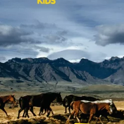 National Geographic Kids: Horse Tonie -TONIES Shop 10000931 50003057 k