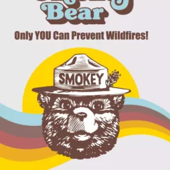 Smokey Bear Tonie 12 Smokey Bear Tonie -TONIES Shop 10001514 Smokey Bear cover